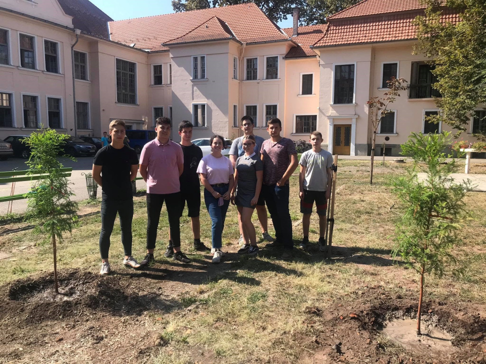 Környezetvédelem a mindennapokban